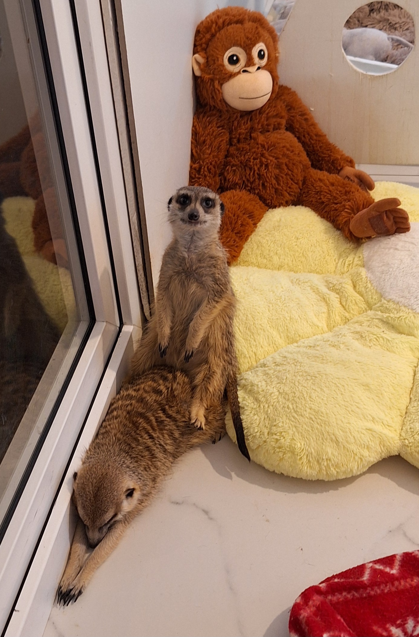 Монти и Матильда